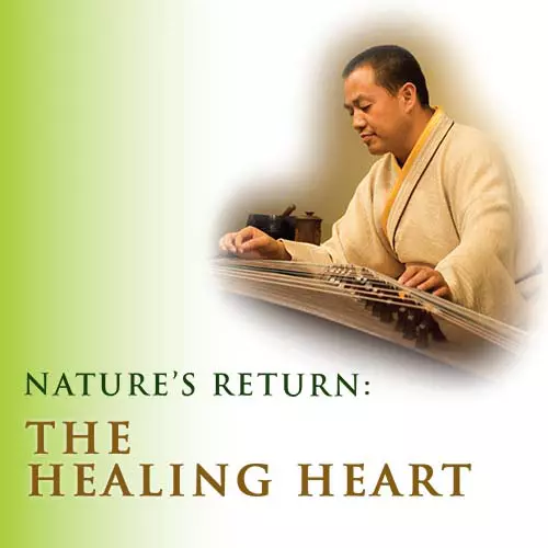 The Healing Heart